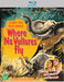 Where No Vultures Fly