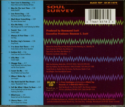 Soul Survey: A Blues Sampler