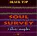 Soul Survey: A Blues Sampler