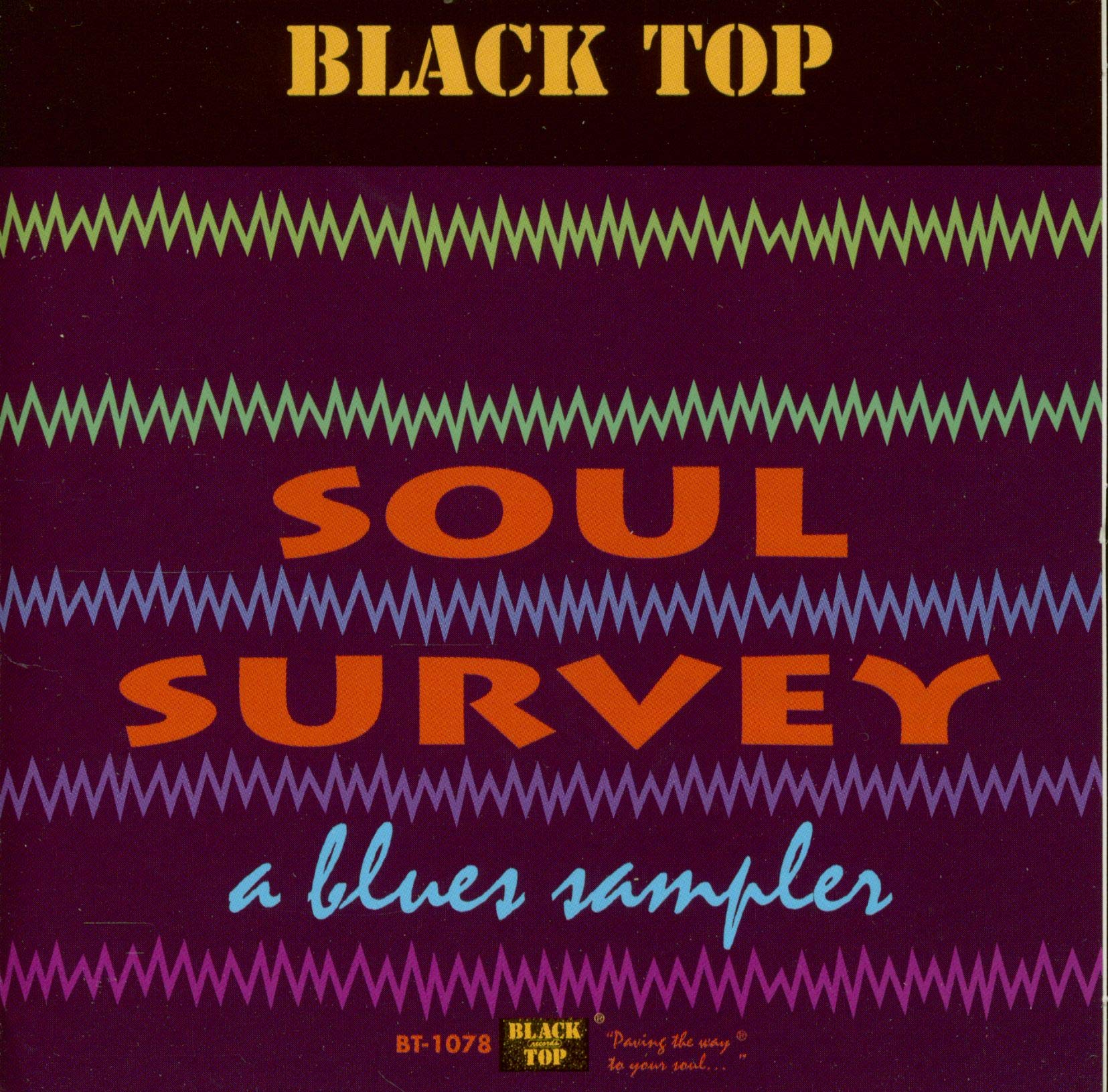 Soul Survey: A Blues Sampler