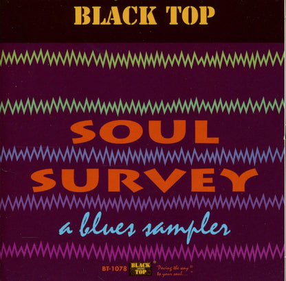 Soul Survey: A Blues Sampler