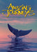 Amazing Journeys