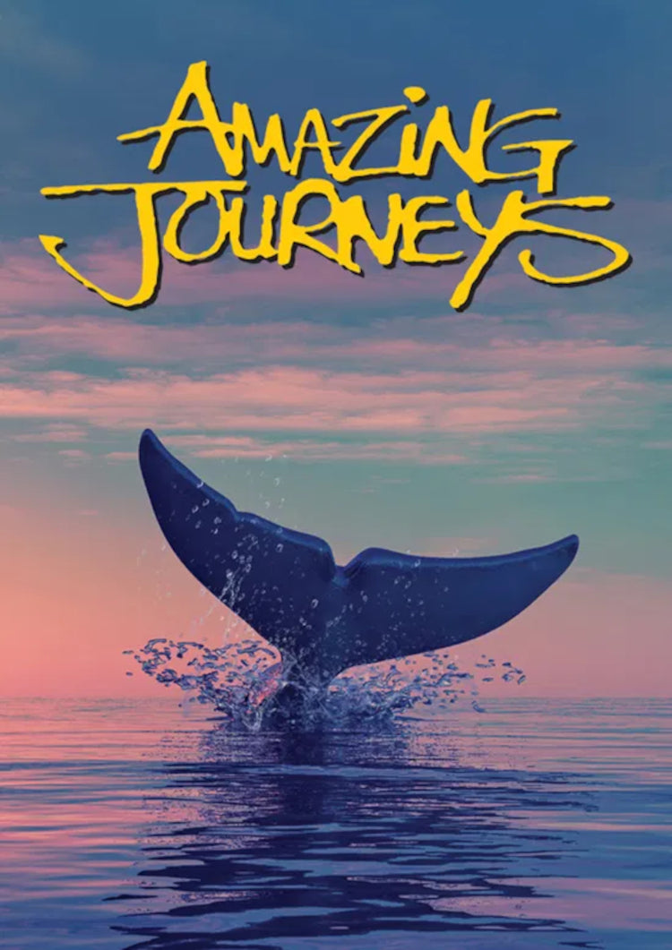 Amazing Journeys