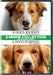 A Dog's Journey / A Dog's Purpose / Mes Voyages De Chien / Mes Vies De Chien (2 Dvd)