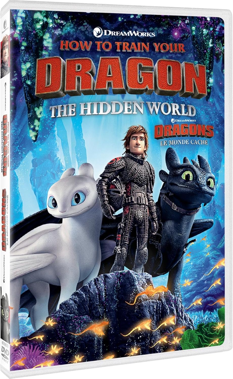 How to Train Your Dragon: The Hidden World
