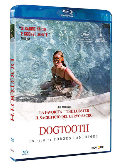 Dogtooth