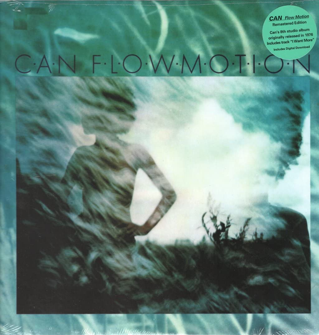 Flow Motion