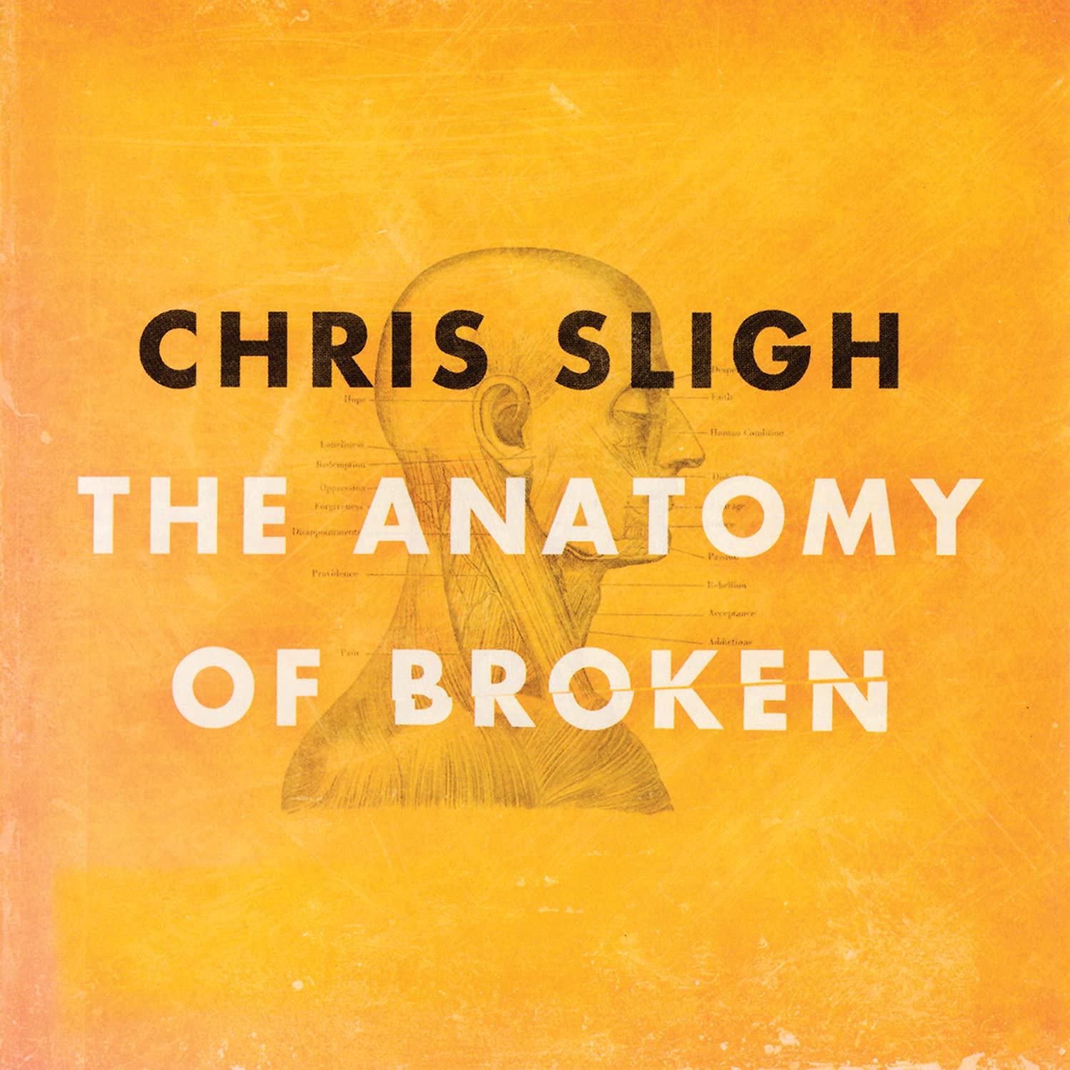 Anatomy of Broken