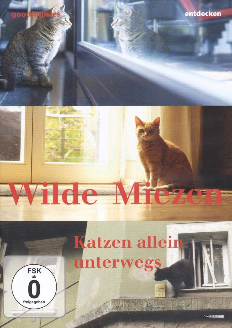 Wilde Miezen-Katzen Allein Unterwegs