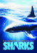 Search for the Great Sharks