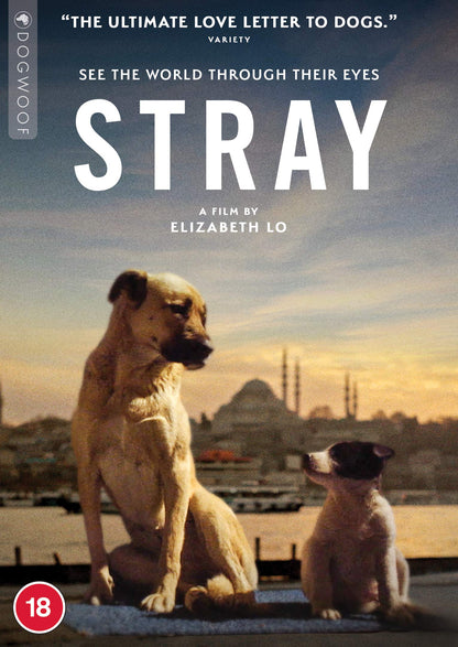 Stray