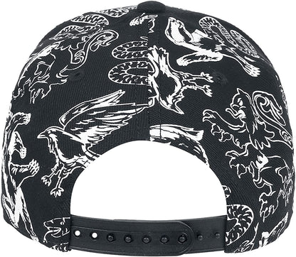Warner - Harry Potter - Snapback with 3D Embroidery