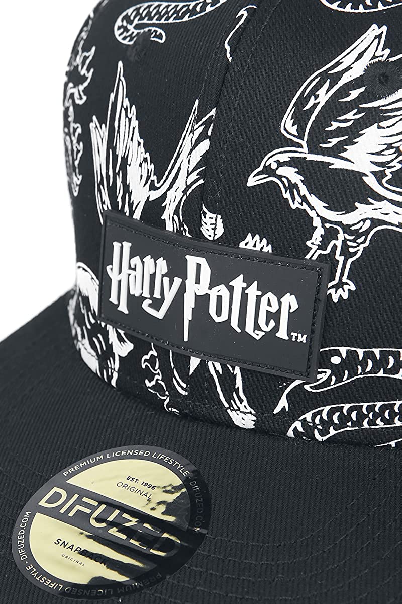 Warner - Harry Potter - Snapback with 3D Embroidery