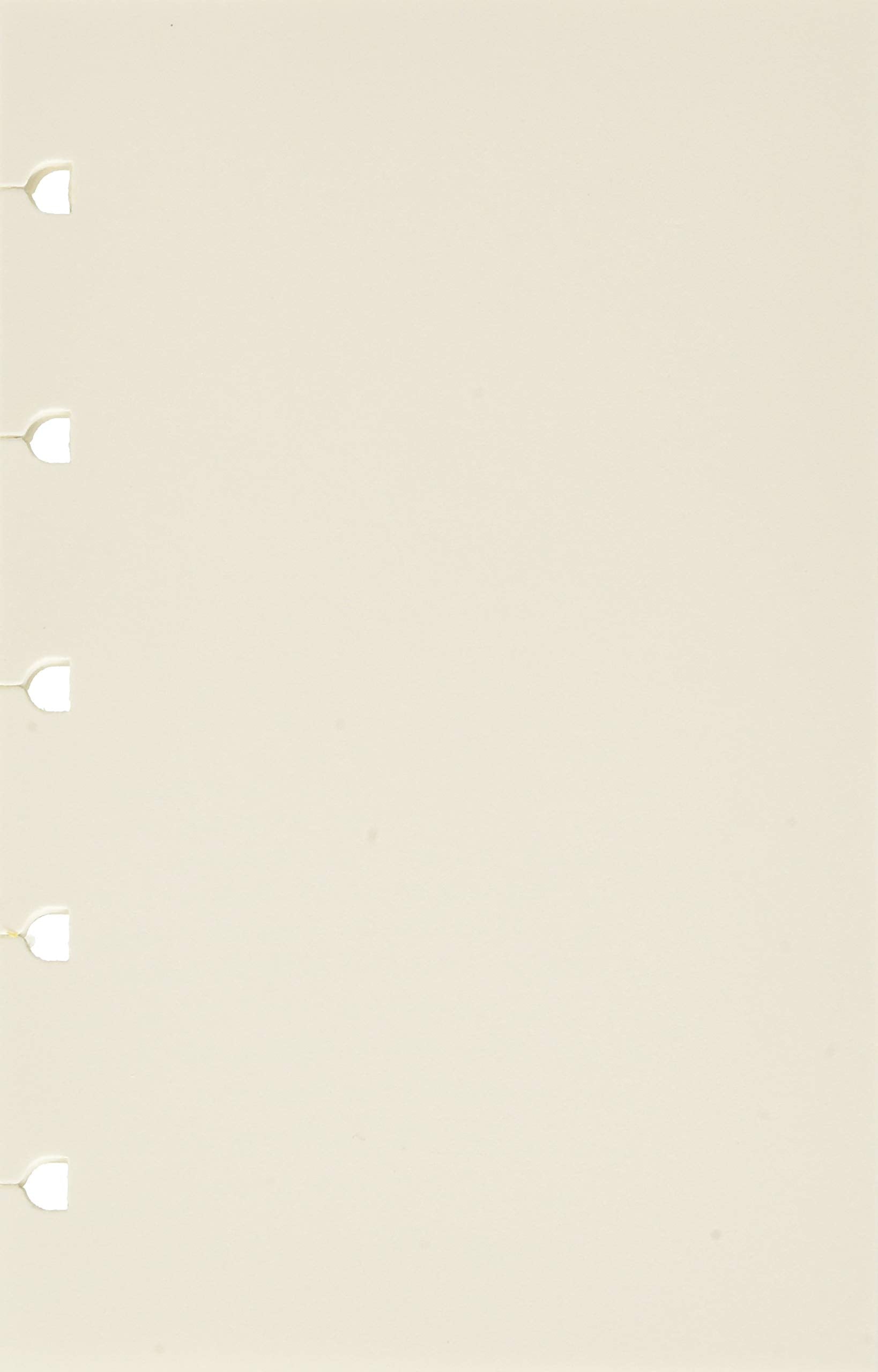 Filofax Pocket Notebook refill - plain paper white