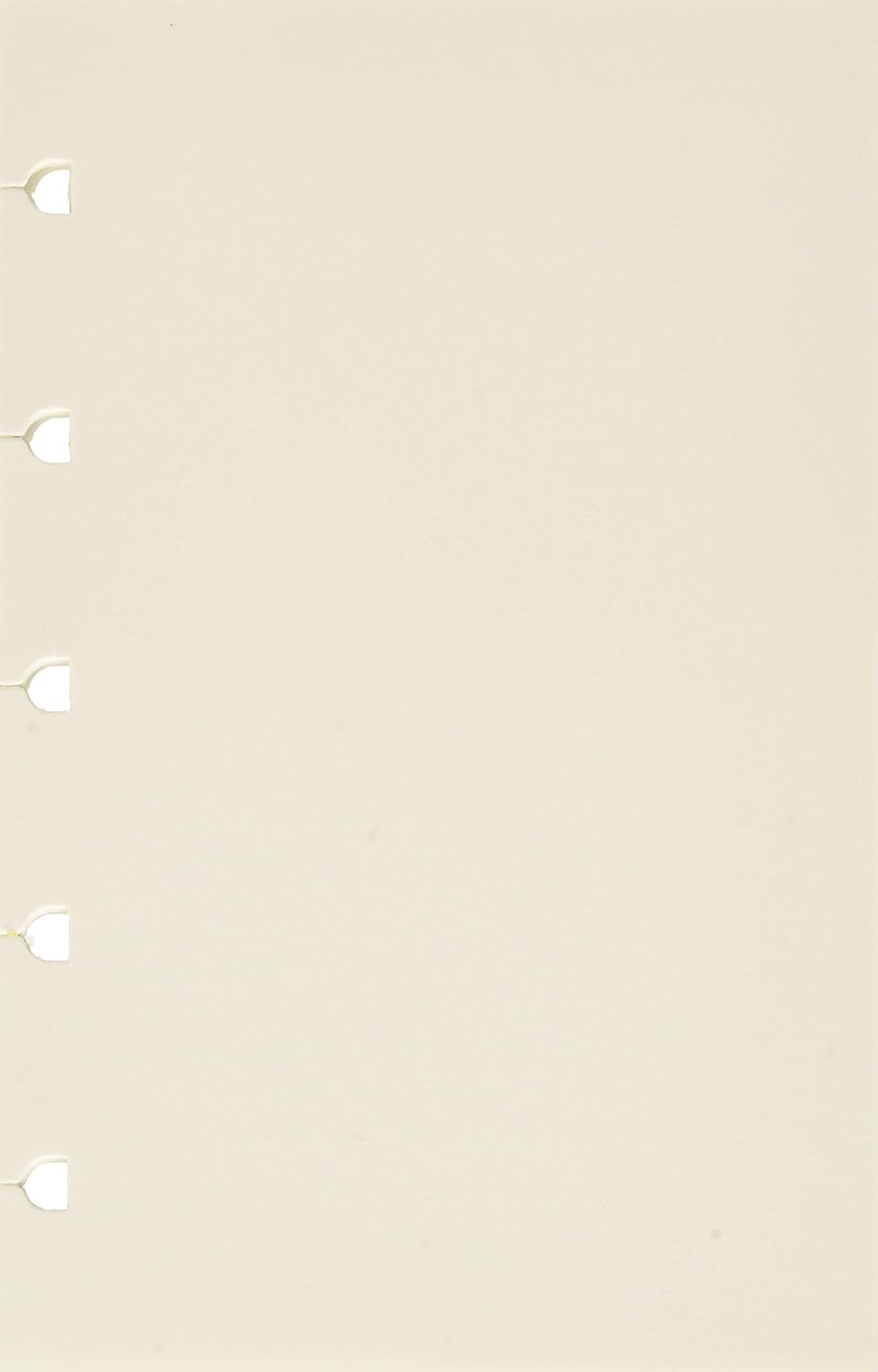 Filofax Pocket Notebook refill - plain paper white