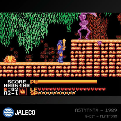 Evercade Jaleco Collection 1 Cartridge (Electronic Games