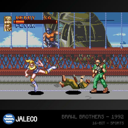 Evercade Jaleco Collection 1 Cartridge (Electronic Games