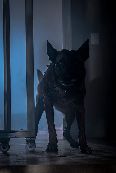 Growl - Er riecht deine Angst