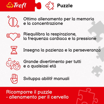 Trefl- Puzzle 2000 Piezas, Adultos y niños a Partir de 12 años, Color bahía de San Francisco, Bay (TREFL-271072