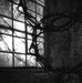 Traces of Nothingness