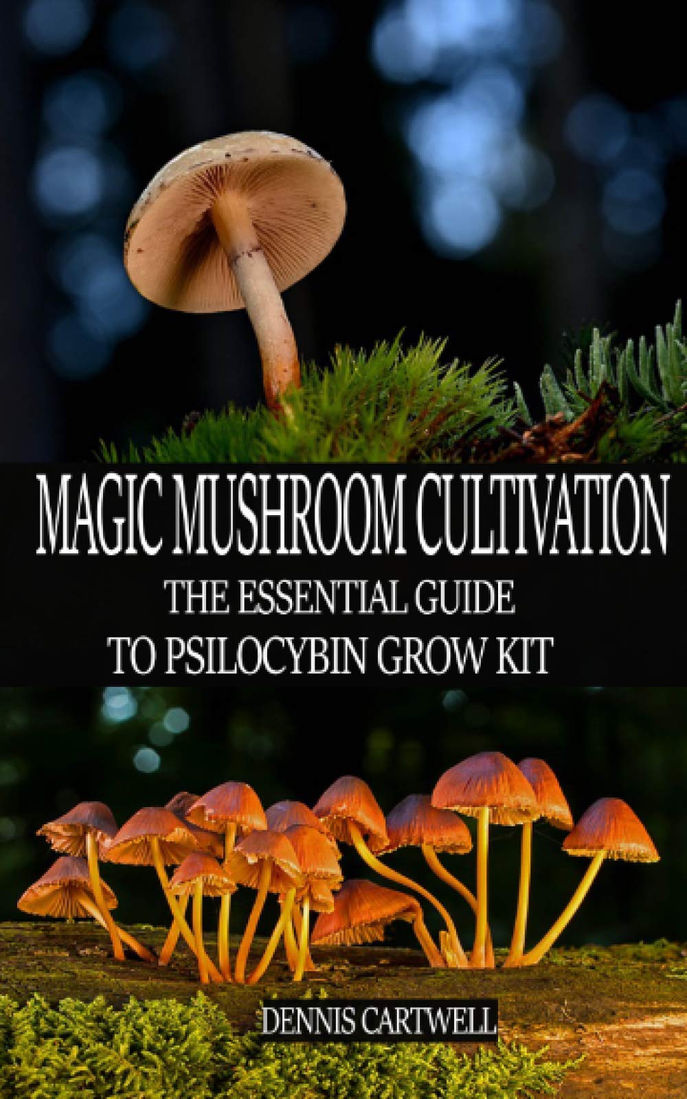 MAGIC MUSHROOM CULTIVATION: The Essential Guide to Psilocybin Grow Kit