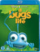 A Bug's Life