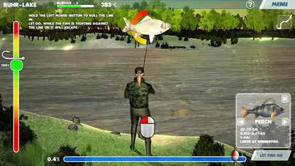 3D Arcade Fishing (Nintendo Switch)