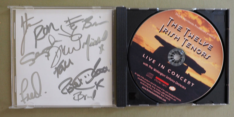 The Twelve Irish Tenors - Live In Concert