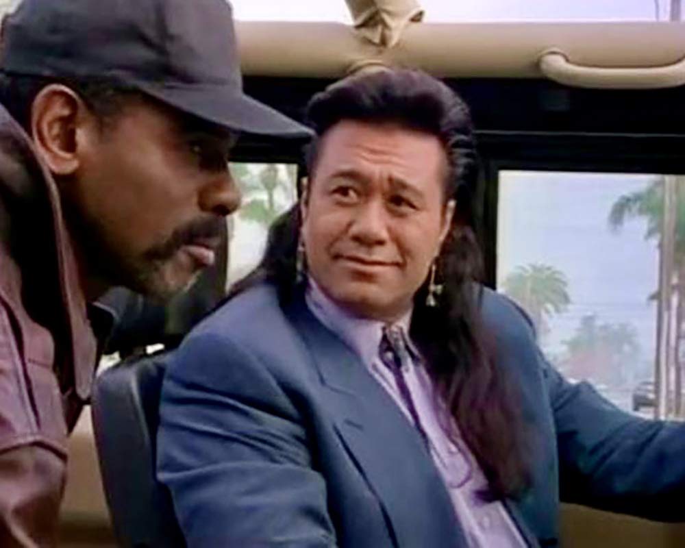 Renegade - Staffel 5