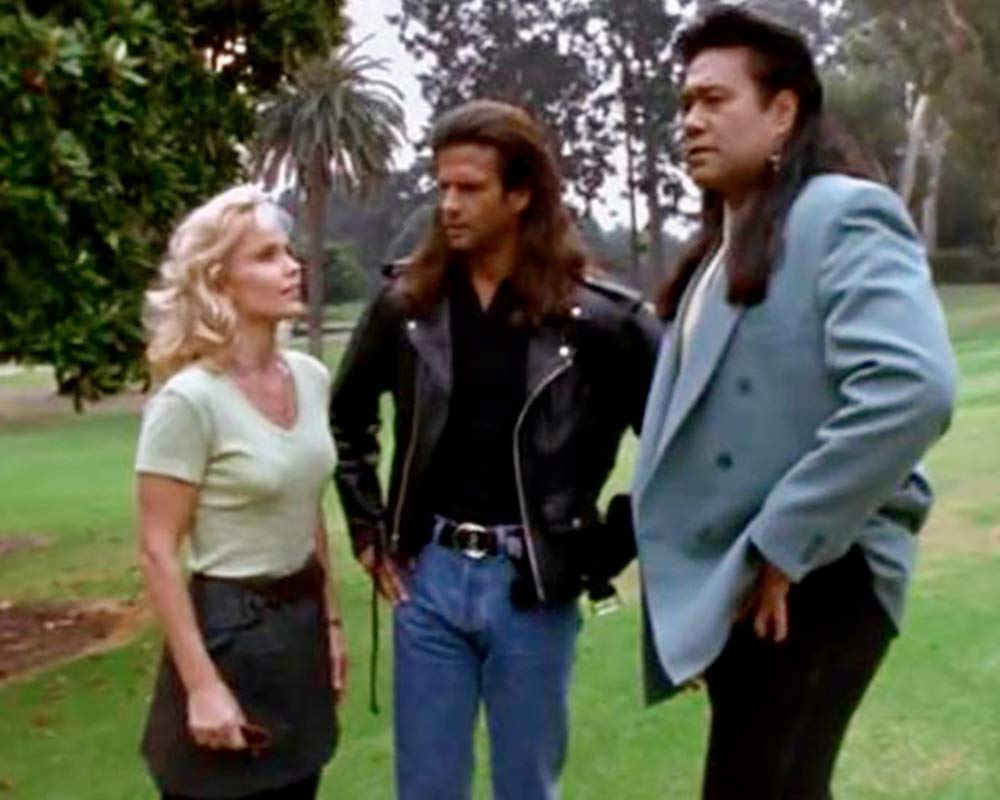Renegade - Staffel 5