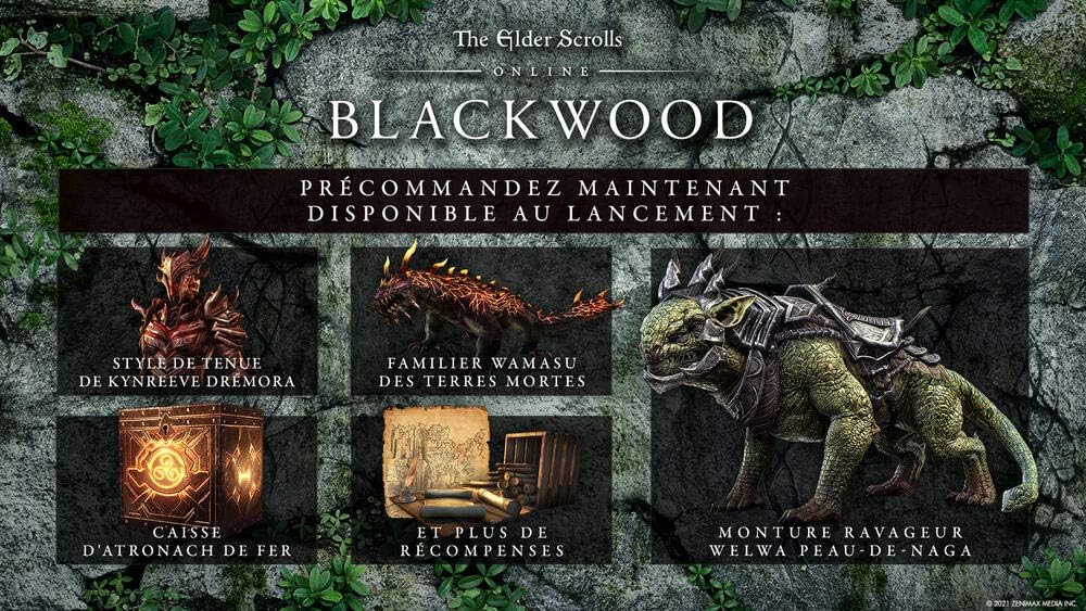 Bethesda The Elder Scrolls Online Collection: Blackwood (Xbox One)