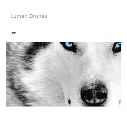 Lumen Drones