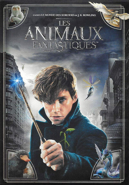 MOVIE - LES ANIMAUX FANTASTIQUES (1 DVD