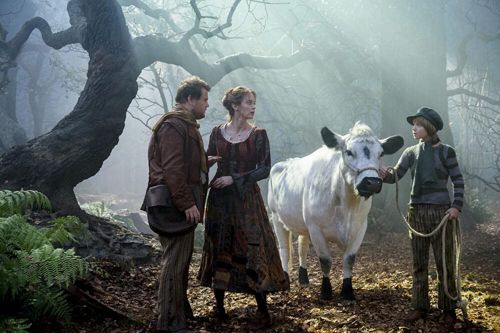 Into the woods : promenons-nous dans les bois