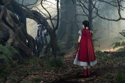 Into the woods : promenons-nous dans les bois