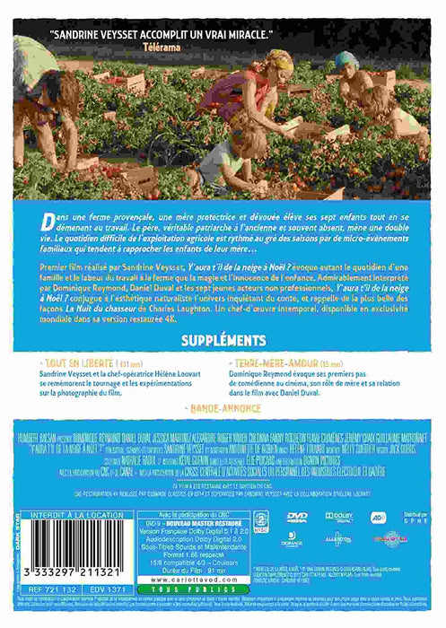 Y'aura-t-il de la neige à noël?