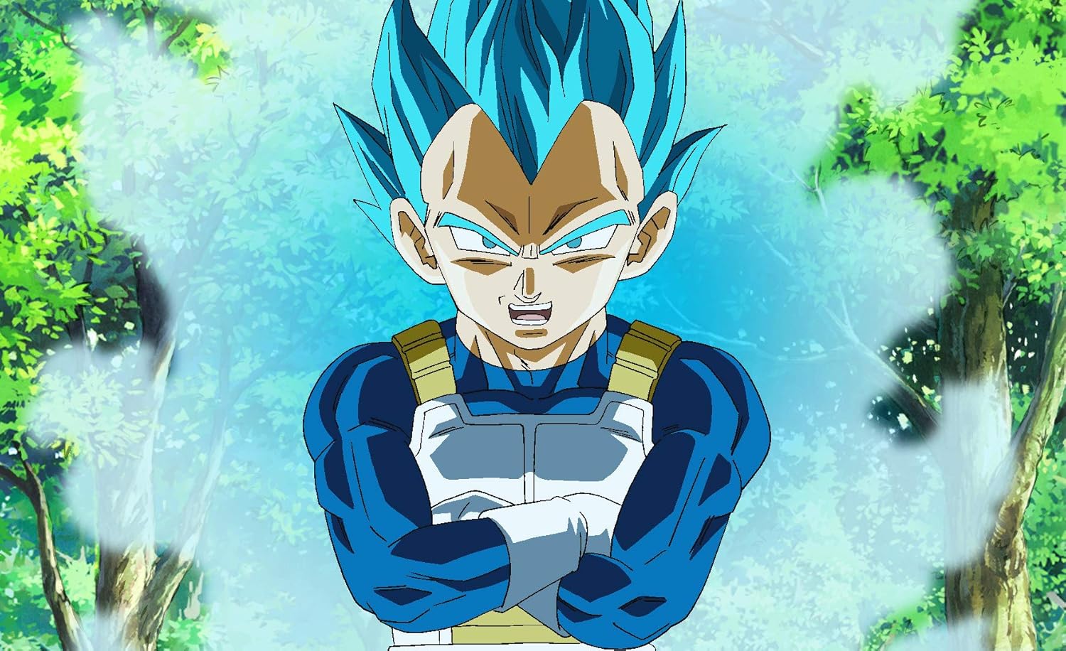 Dragon Ball Super - L'intégrale Box 2 (épisodes 47-76