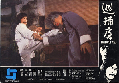 ASIA LINE - DIE RACHE DES KUNG FU TIGERS