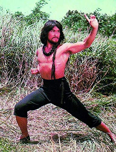 ASIA LINE - CANTONEN IRON KUNG FU