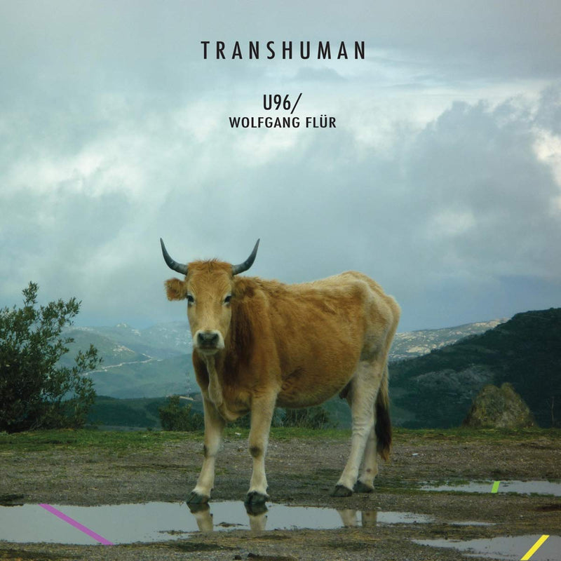 Transhuman r.
