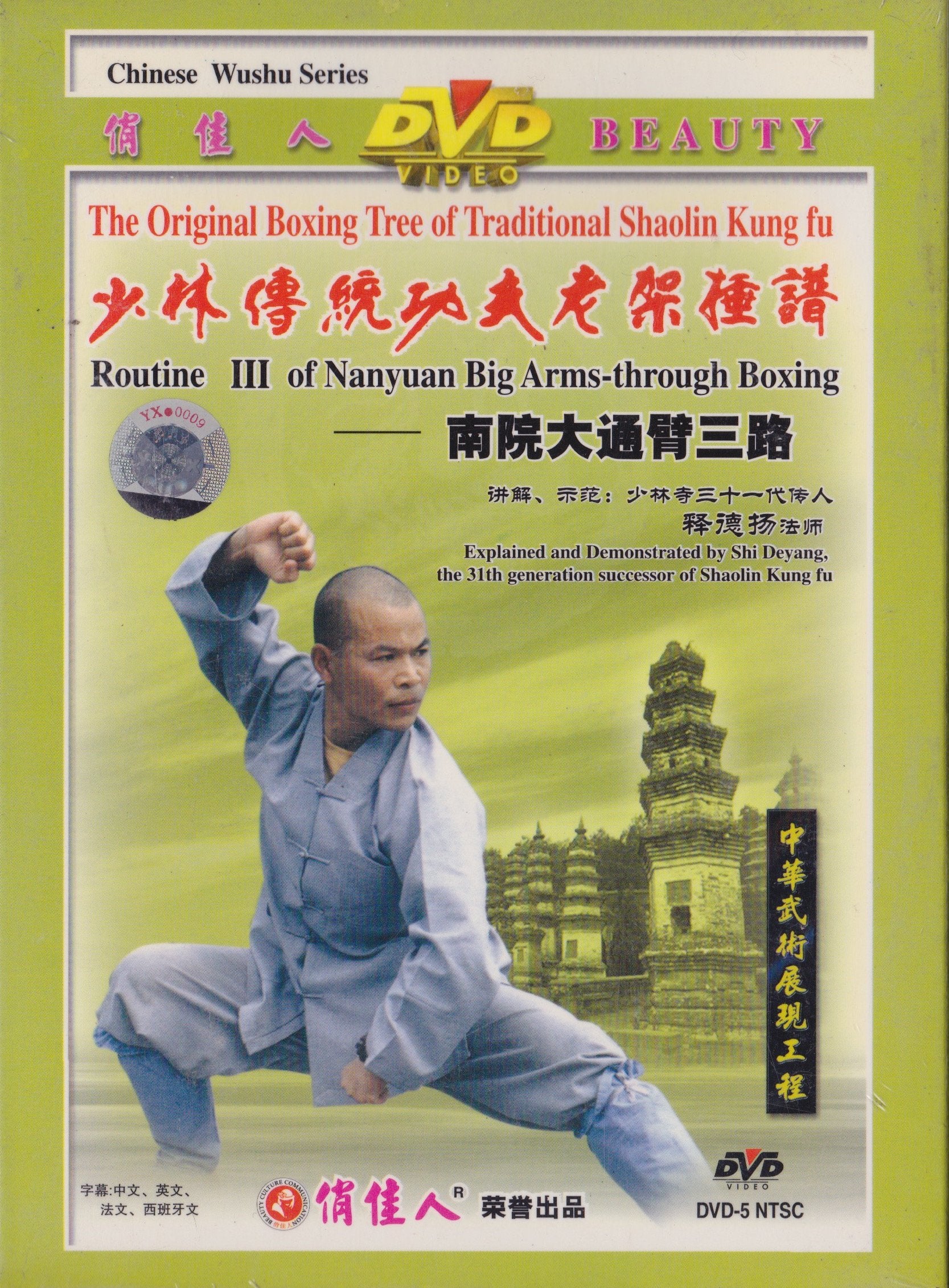 Routine 3 Of Nanyuan Big Arms Through Boxing
