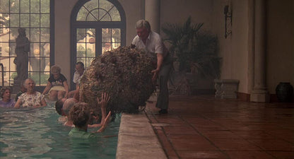 Cocoon
