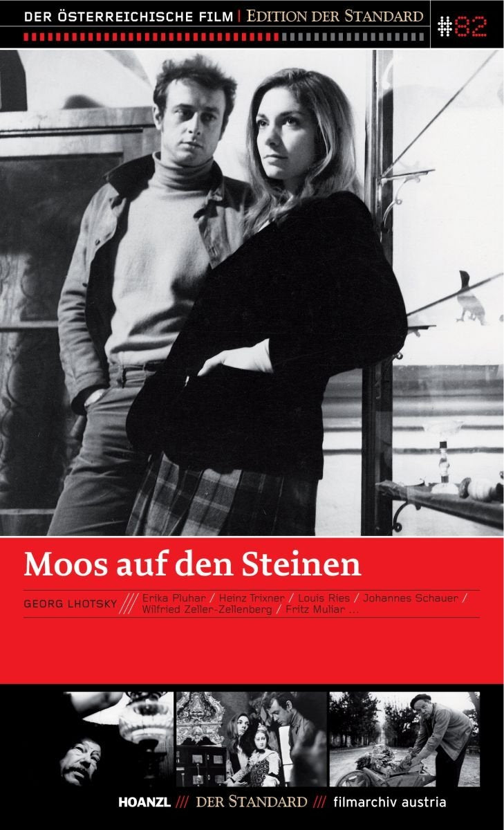 MOOS AUF DEN STEINEN