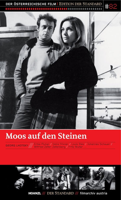 MOOS AUF DEN STEINEN