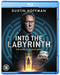 Into the Labyrinth