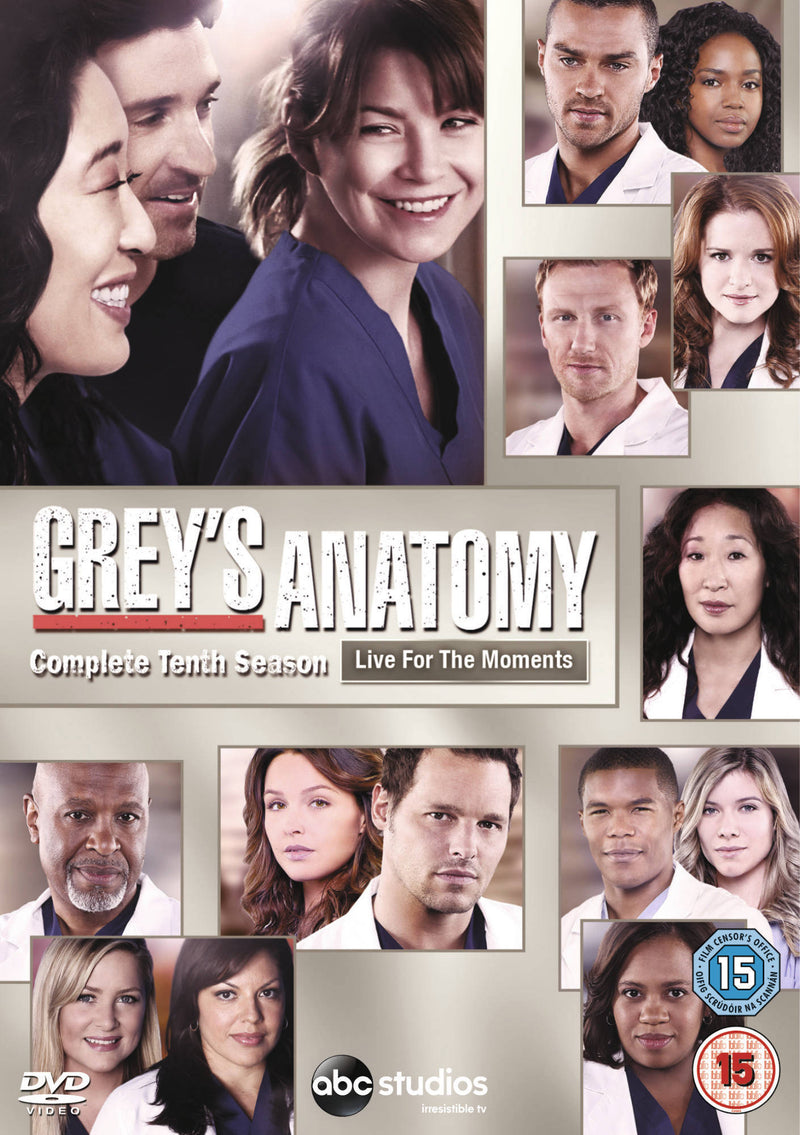 Grey's Anatomy: Complete Tenth Season