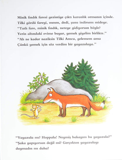 Yayazula: Smarties Kitap Ödülü Altın Madalyası