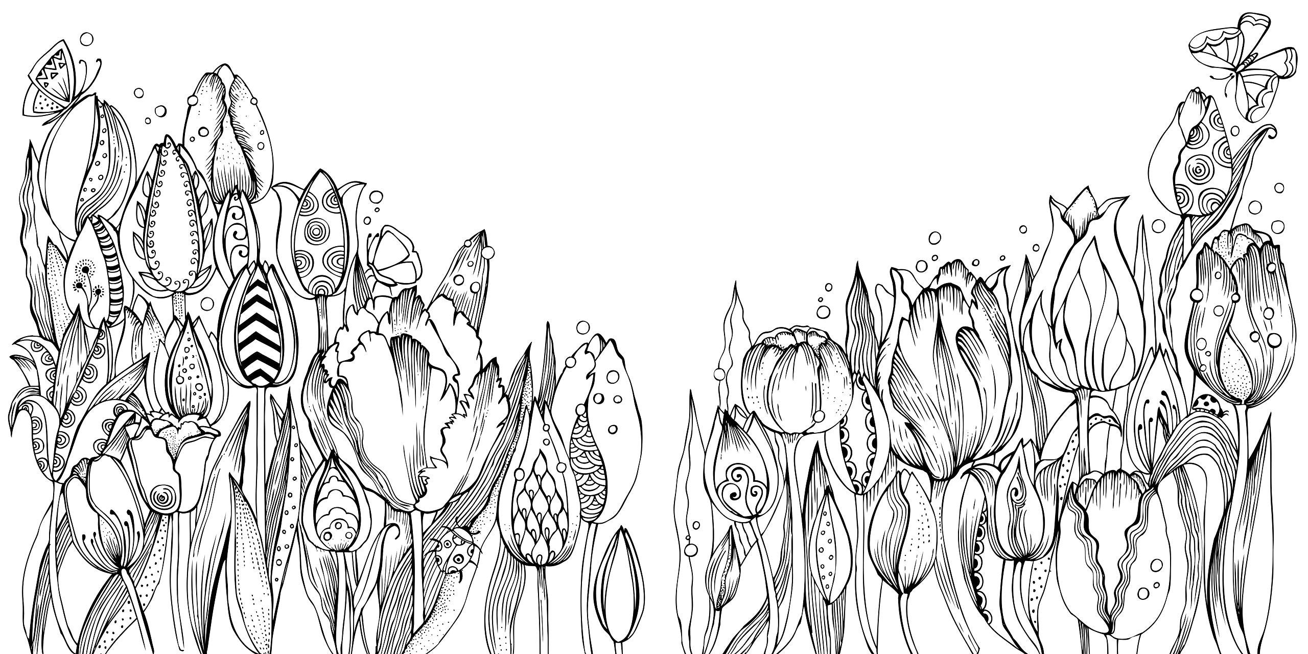 Mein Frühlingsspaziergang: Ausmalen und durchatmen (Die Welt wird bunt, Band 1