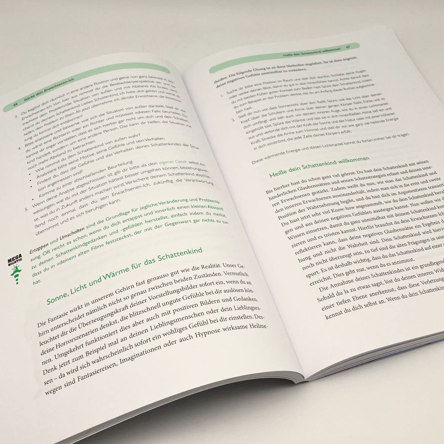 Das Kind in dir muss Heimat finden (Arbeitsbuch): In drei Schritten zum starken Ich
