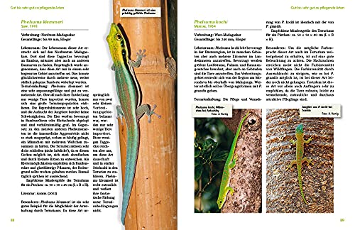 Taggeckos der Gattung Phelsuma: Lebensweise, Haltung, Zucht (Terrarien-Bibliothek